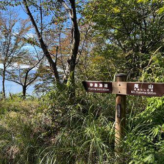尾山に向かいます
