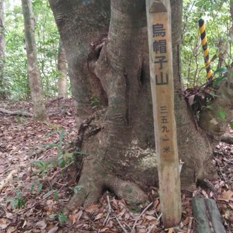 烏帽子山到着