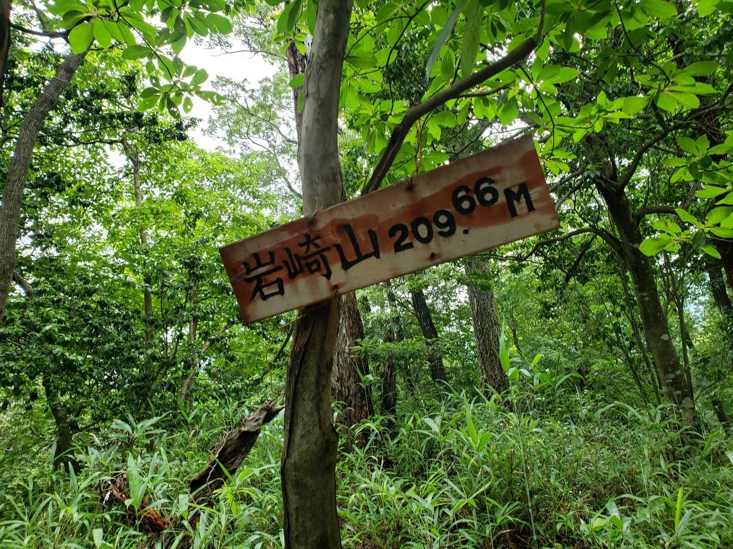 岩崎山の写真