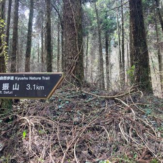 分岐で来た道と合流。
ここからも登りなんよな💦ｲﾔｰ