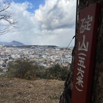 境内の隣にある小道を登ると碇山山頂✨