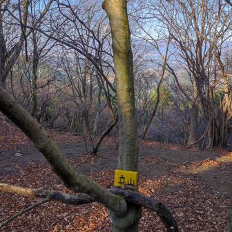 立山の銘板発見。