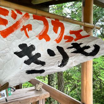 オシャレなカフェを発見❗️