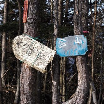 歳月を感じる山頂プレート