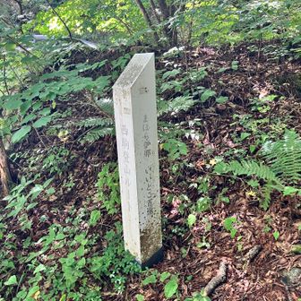 登山口に到着　お疲れ山⛰️雨が降る前に急いで帰ろう！