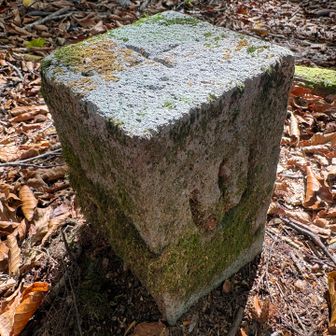 小ヅッコ

ヅッコの語源と意味

塚（つか）」が訛ったもの
山言葉や地元の方言で、小さな小丘や小ピーク（こぶ状の高まり）のことを塚（つか）」と呼ぶ

これが方言で訛って「つっこ」「ヅッコ」に変化したという説が有力