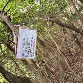 登山初心者は近づきません。