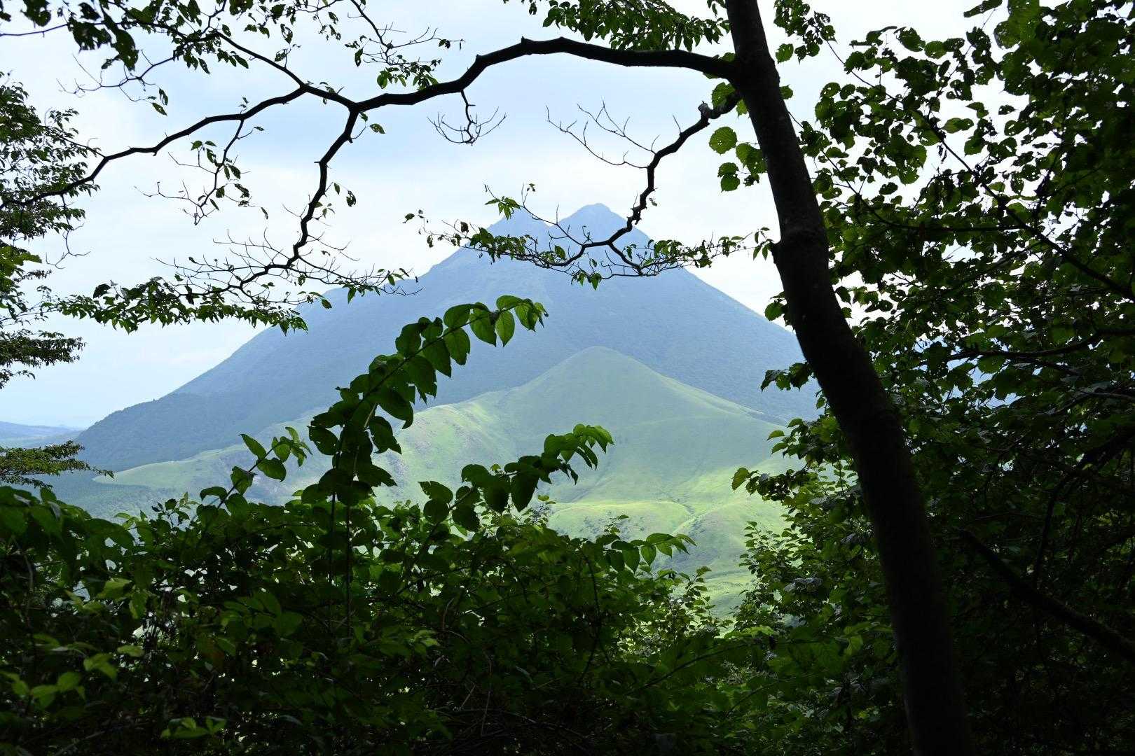 由布岳⛰️