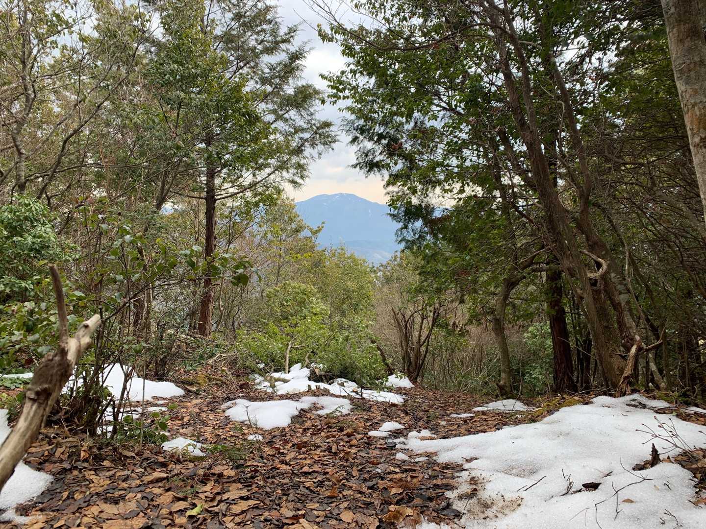 十三石山山頂　
木々が伸びて景色が見えなくなってきました　　ちょっと開けて比叡山でした