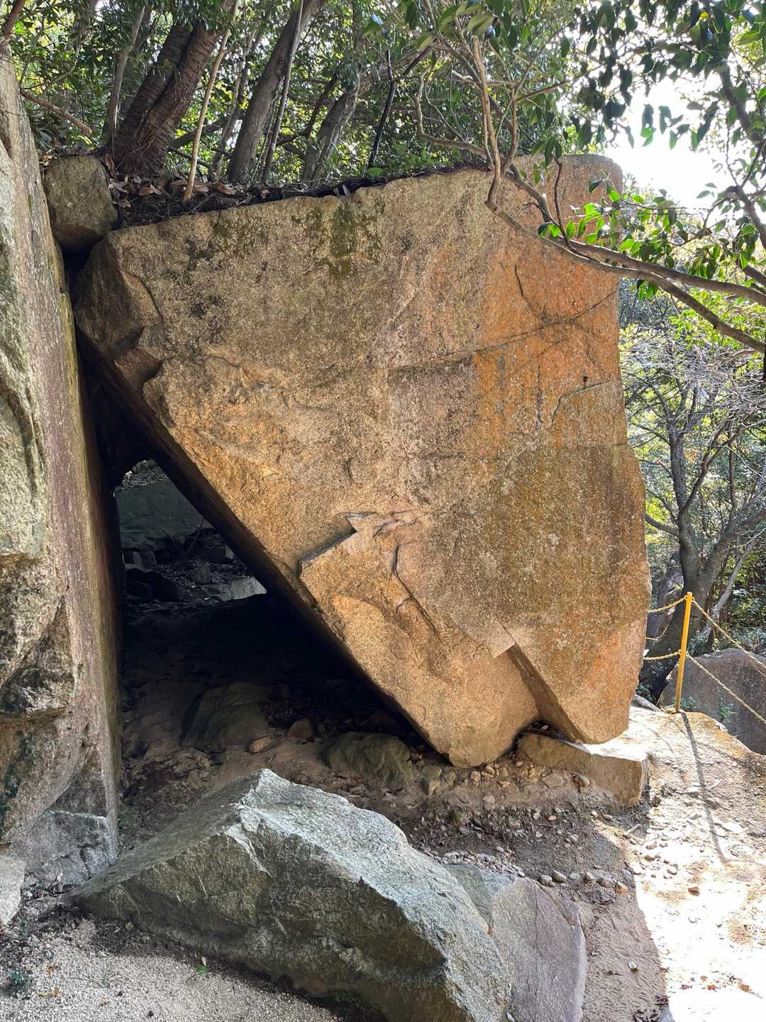 行者山 縦走コースの写真