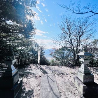 ここ切り開いてほしい😂