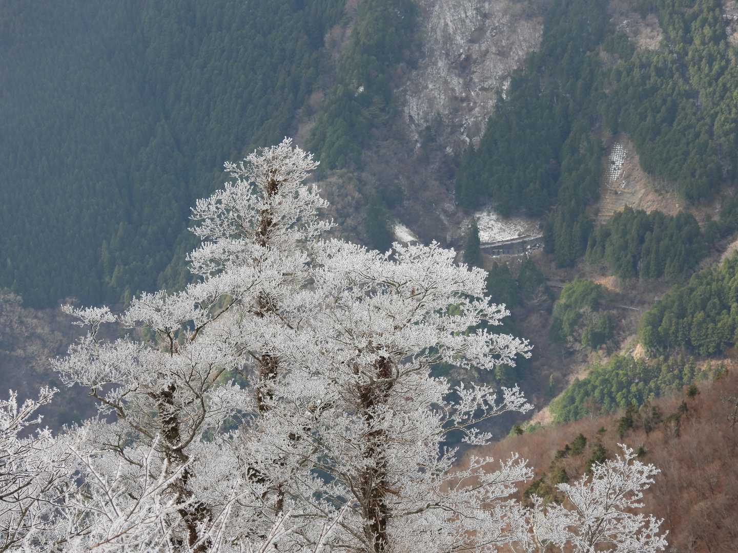 川成峠-樫戸丸 往復コースの写真