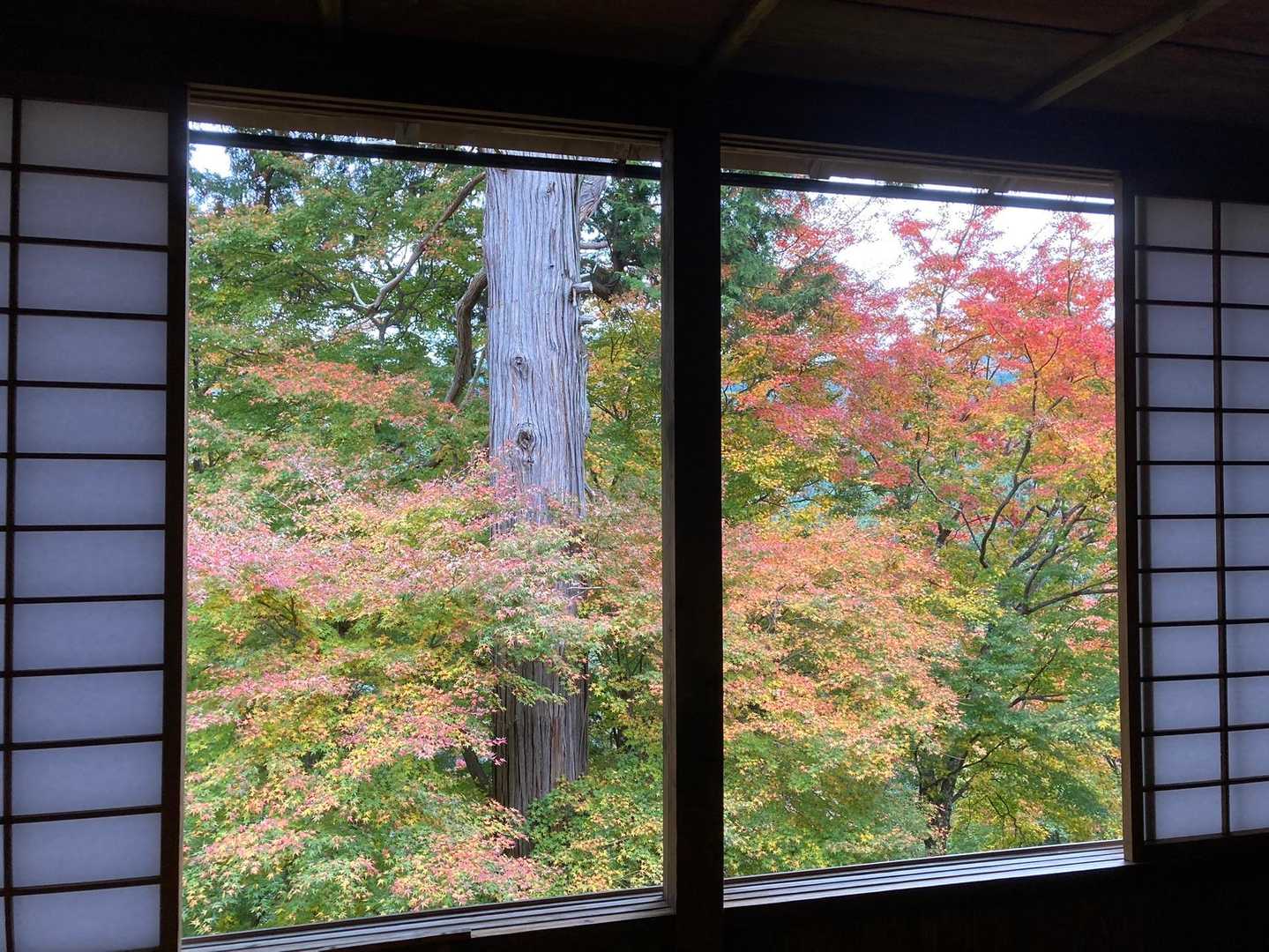 吉水神社 往復コースの写真
