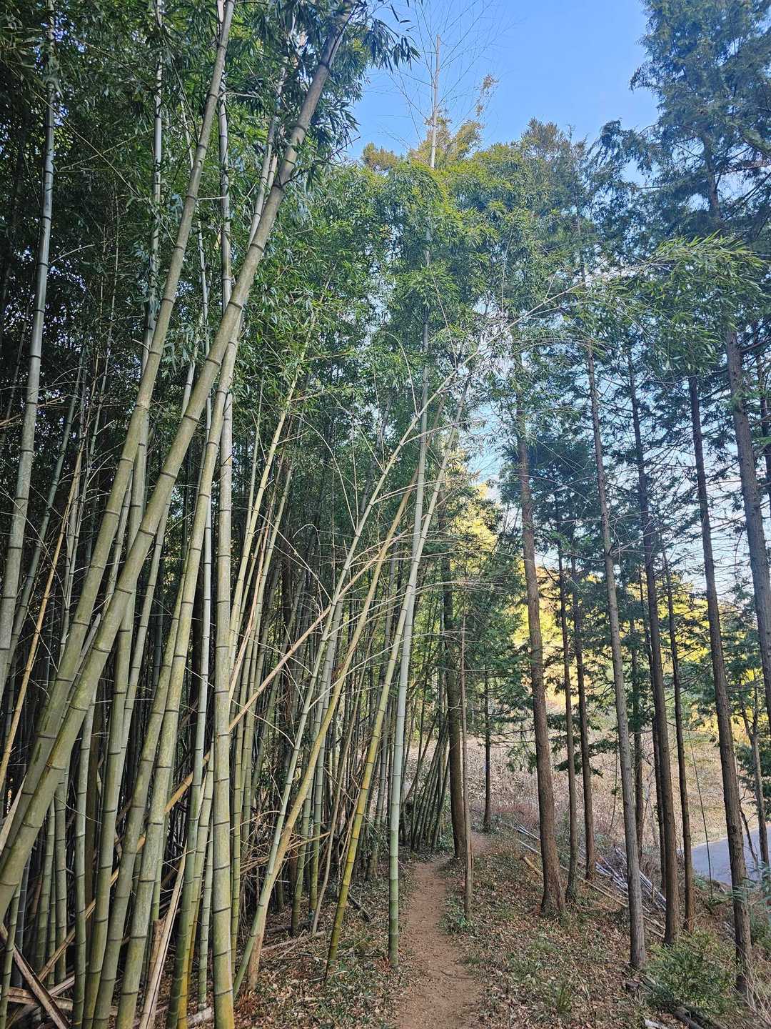 風が語りかけます…埼玉県民は　このフレーズを思い出す😃💡俺だけかな(笑)