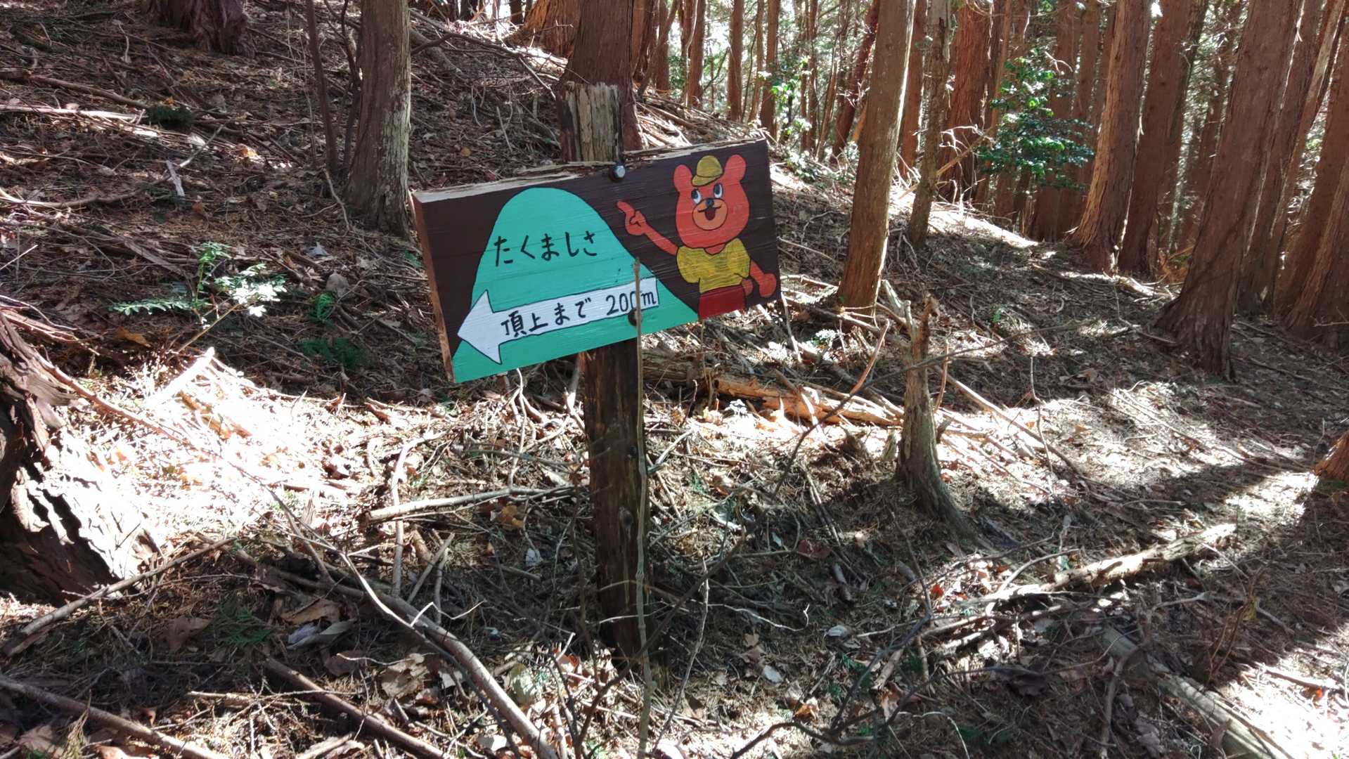 たくましさの道で下山します。