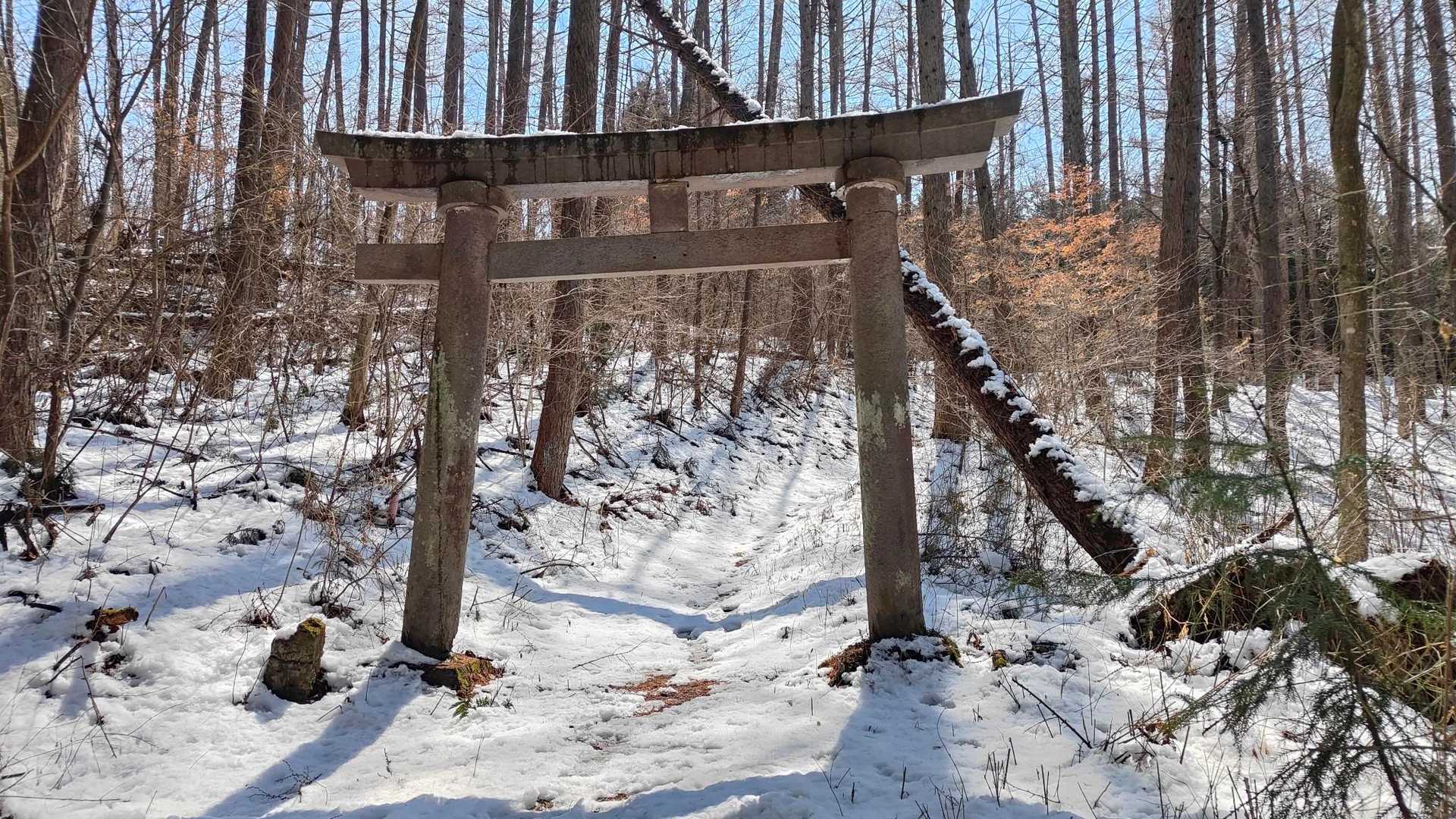 皆神山 往復コースの写真