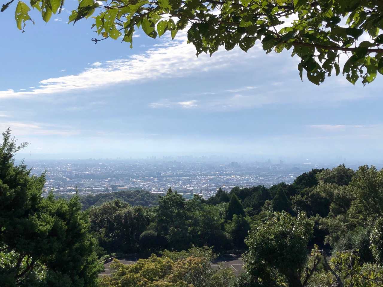 甲山 往復コースの写真