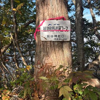 登って来たのは野老沢（ところざわ）コースと言うみたいです