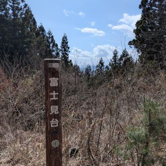 行きの電車(南武線)からは見えたのに…