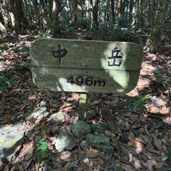 そうこうしてたら…三座目、中岳登頂です⛰️