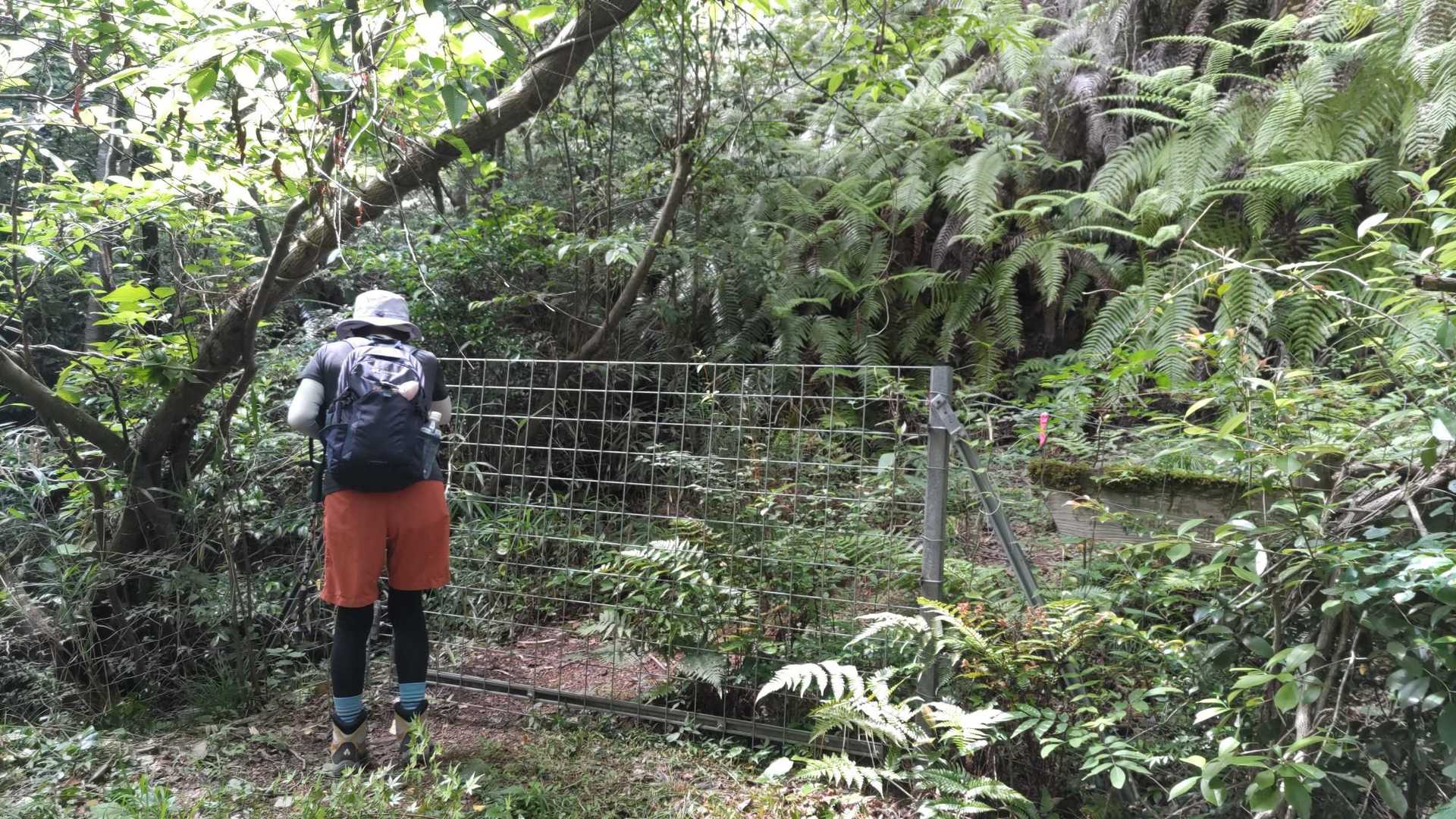 ゲートを開けて、まずは焼山へ