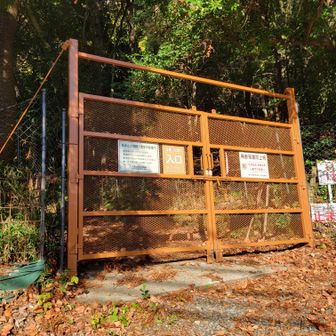 象鼻山の登山口はゴッツい😆