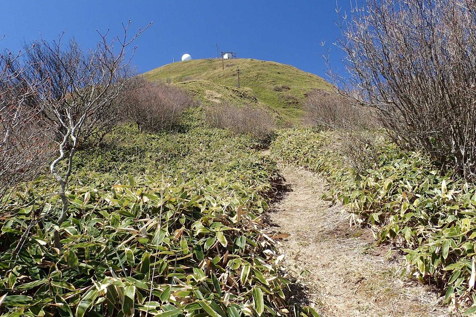 山頂が見えた