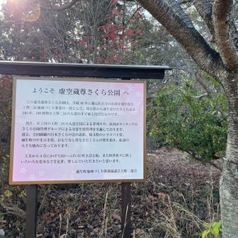 春は桜が綺麗そうですね