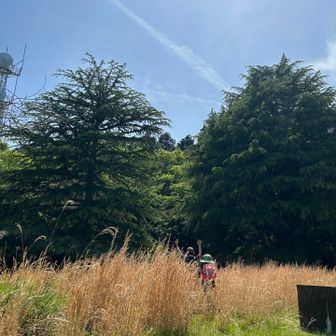 山上公園
いい感じ