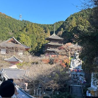 壺阪寺の建物と仏様
