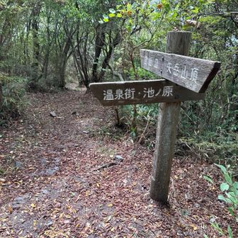 さあ，帰ろう…ん？
アタイは池ノ原方面から来たけど、真っ直ぐ進んで登山口、とは？