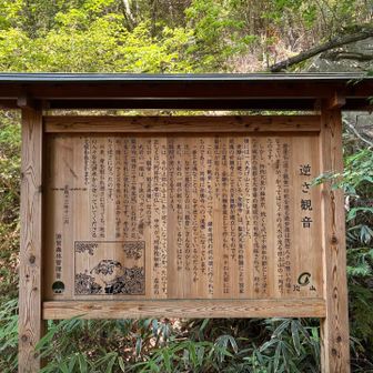 逆さ観音の案内