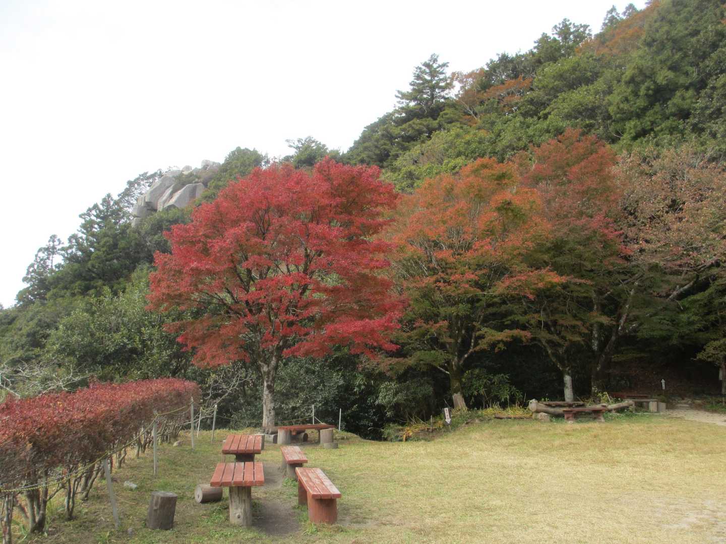 キャンプ場で