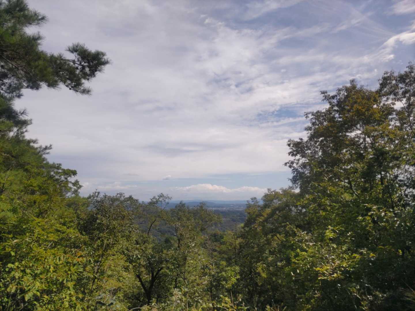 山頂からの眺望
ちょっこしだけどね