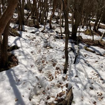 帰り道はとにかく滑るので踏み跡をひたすらトレース