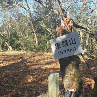 おつかれ山～⛰️ゾウさんの頭くらいの広さ？