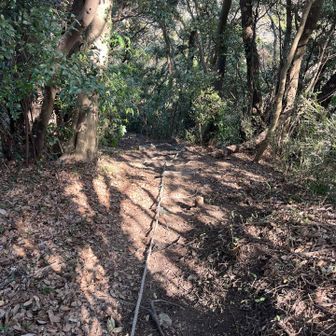 下りはズルズル滑る道