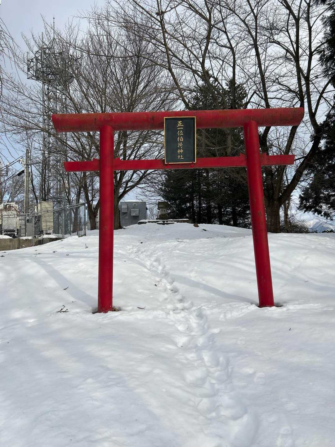 大森山 往復コースの写真