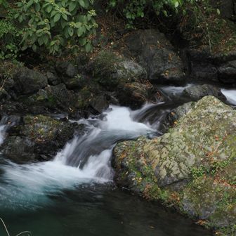 集落を流れる川も綺麗