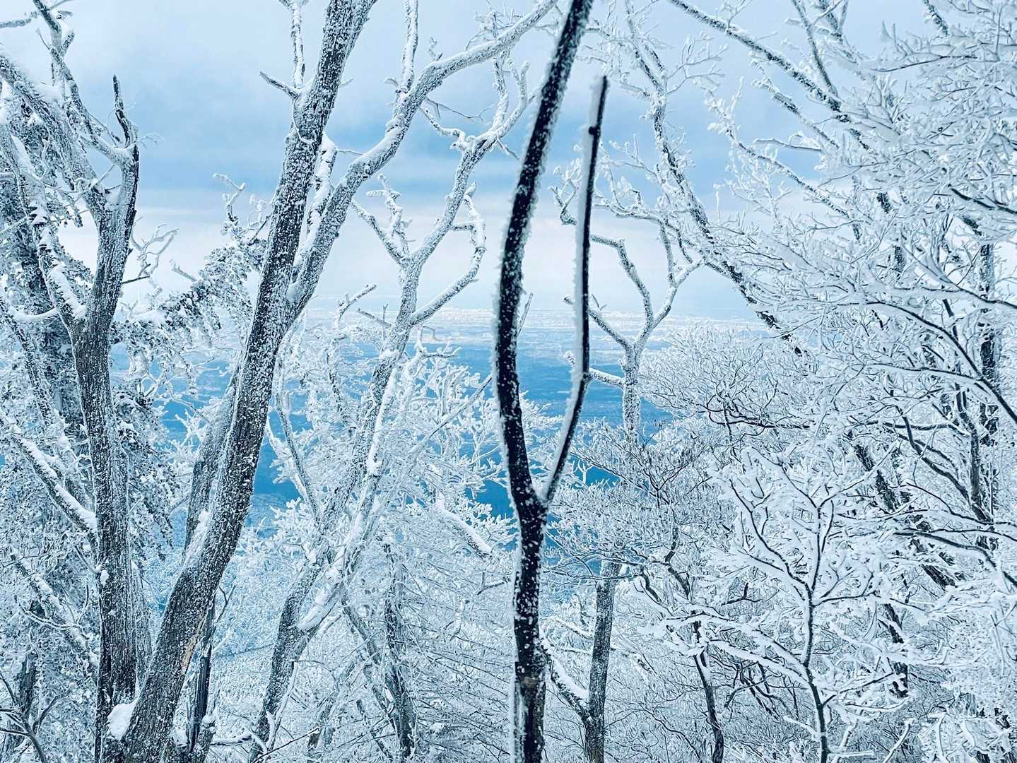 いつもの道に雪あるだけで、ホンマに別嬪ロード✨✨
大阪方面も見えて、晴れてきたね☀️