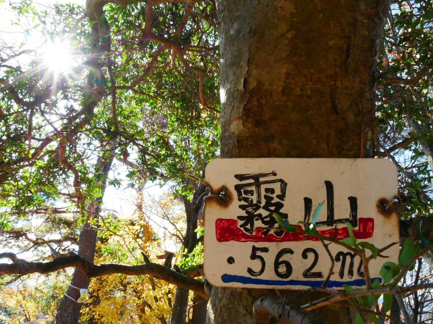 山頂標識💓
