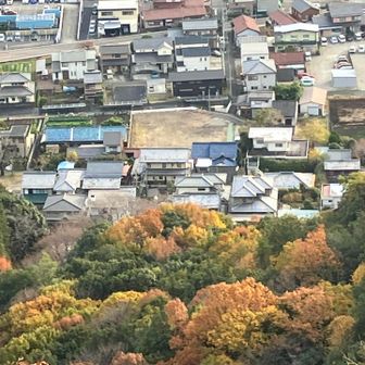 航空写真みたい…❓