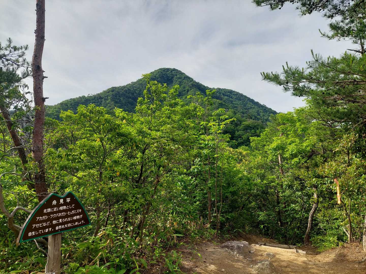 いつも撮ってる 舟見平からの鞍掛山
