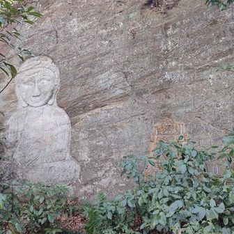 ユーモラスなお顔。