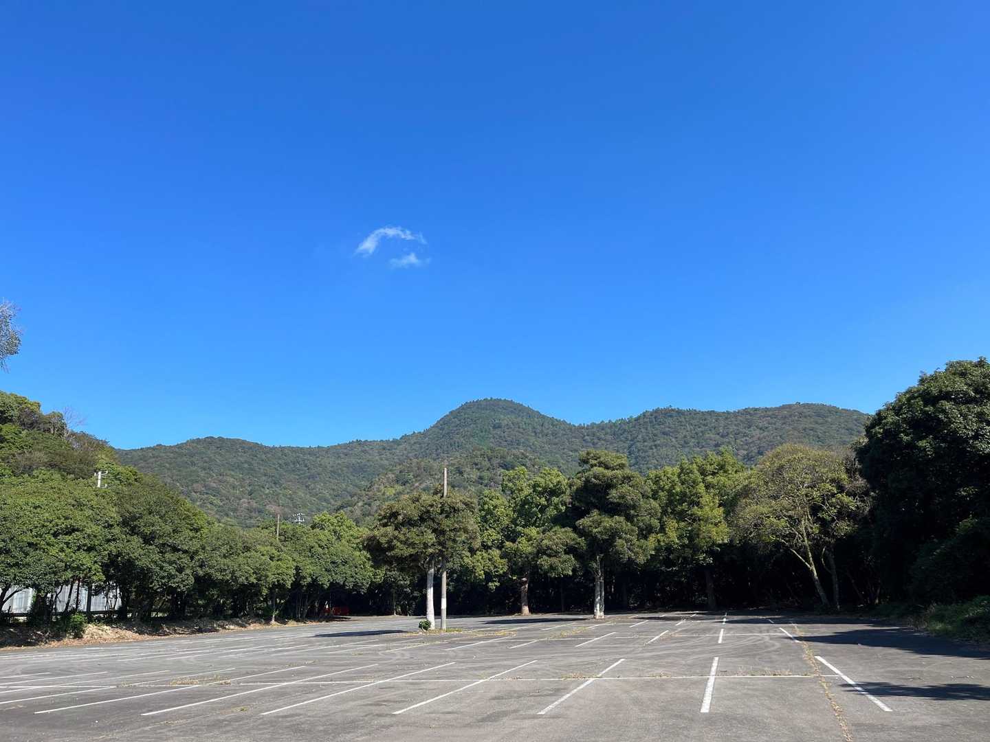 大麻山登山口-大麻山 往復コースの写真
