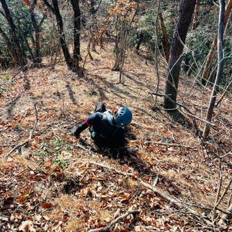プラン変更し、梅園山を通過した先で落ち葉でスリップして尻餅です笑。