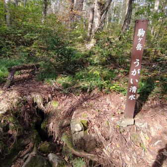 うがい清水に下山しました、水が少し流れてました😊