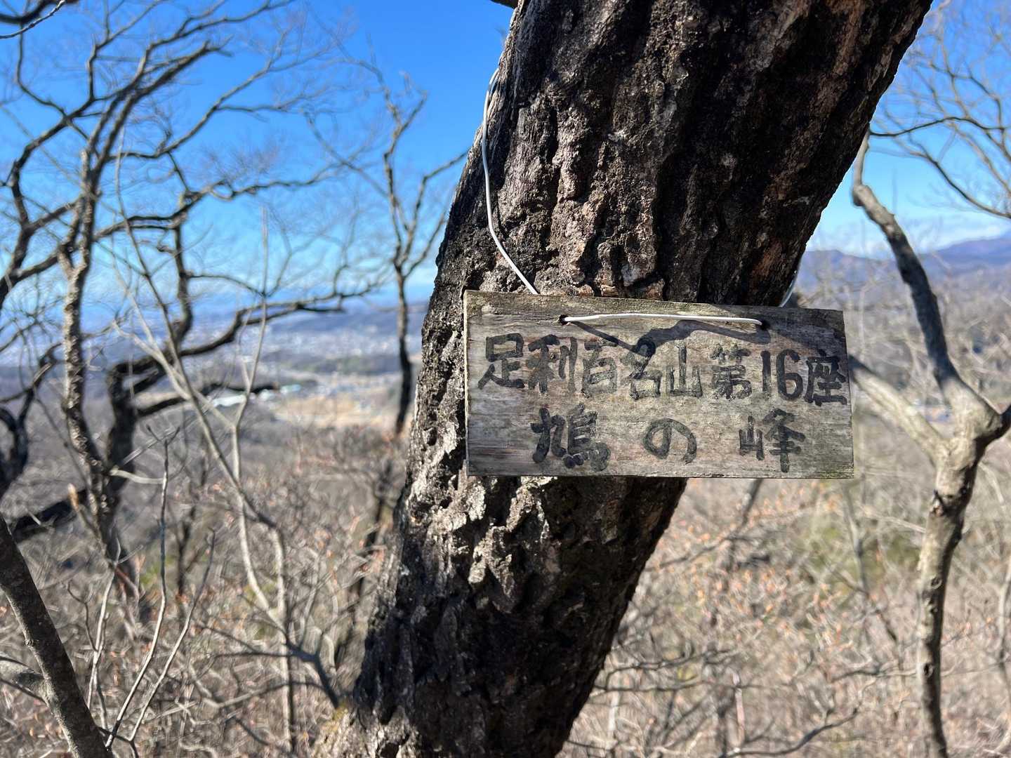 鳩の峰山頂は広いです