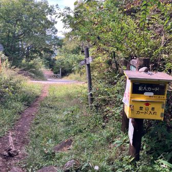 登山口に出ました