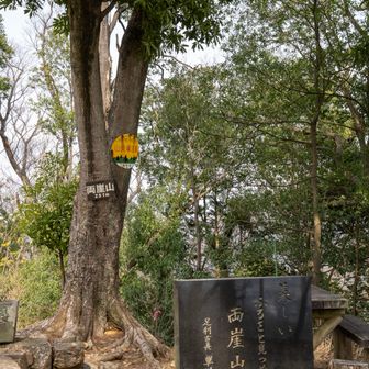 両崖山到着。だらだらと長い道のりでした💦